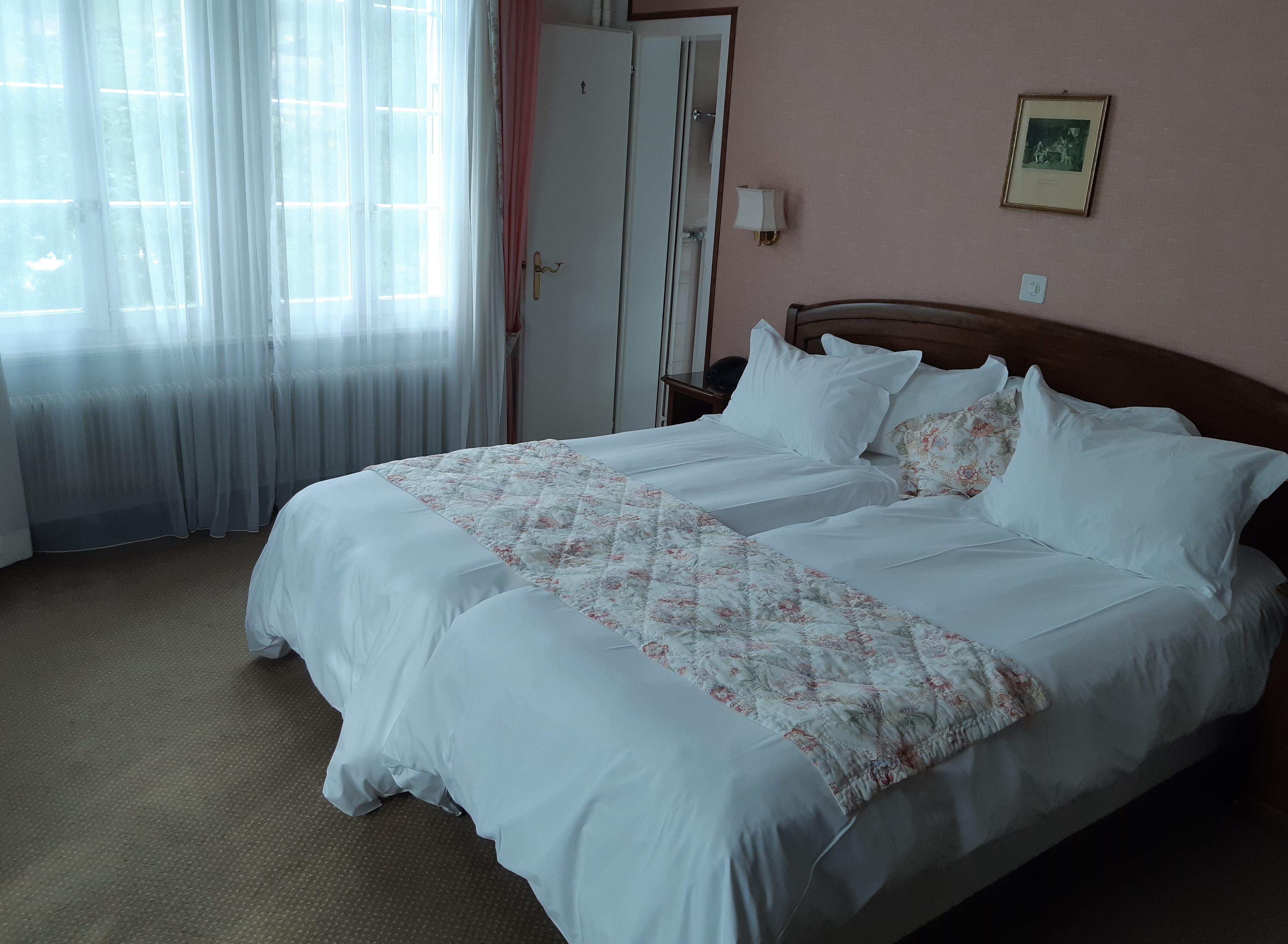 Hotel Regina Wengen Ngoại thất bức ảnh